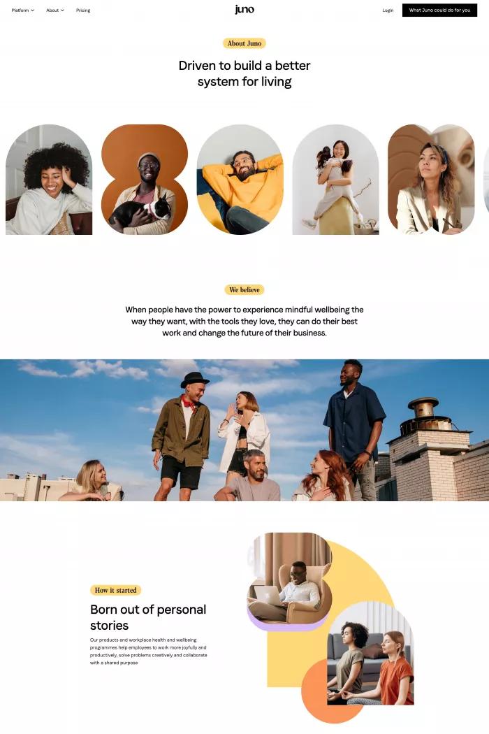 About Us